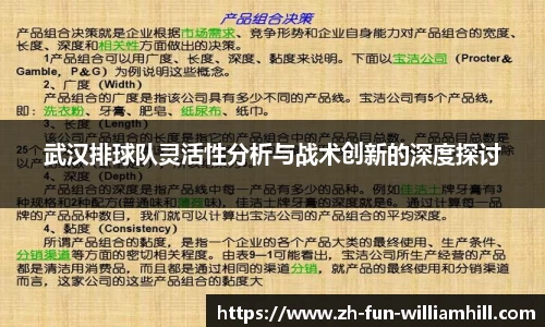 武汉排球队灵活性分析与战术创新的深度探讨