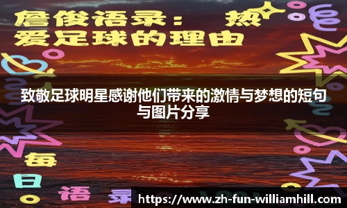 致敬足球明星感谢他们带来的激情与梦想的短句与图片分享